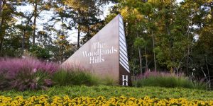 Image by The Woodland Hills