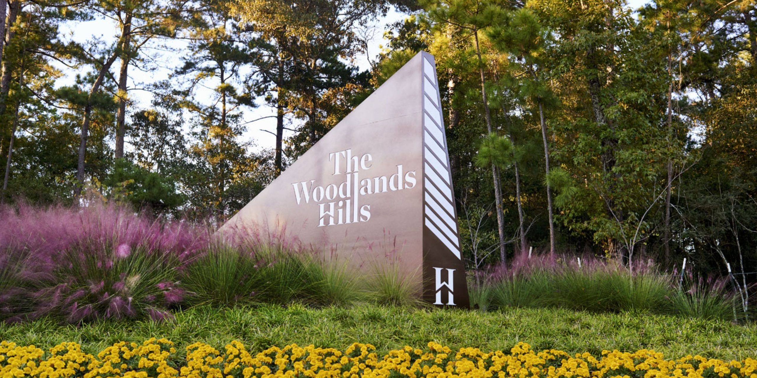 Image by The Woodland Hills