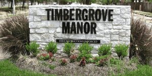 image courtesy of Wikipedia